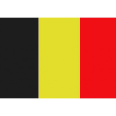 Belgische vlag 20x30