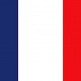 Franse vlag 20X30