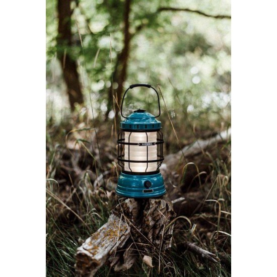 Barebones Forest Teal