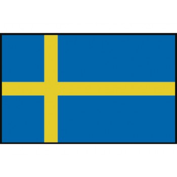 Zweedse vlag 20X30
