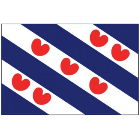 Friese vlag 70X100