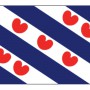 Friese vlag  40X60
