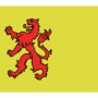Zuid Hollandse vlag 20X30